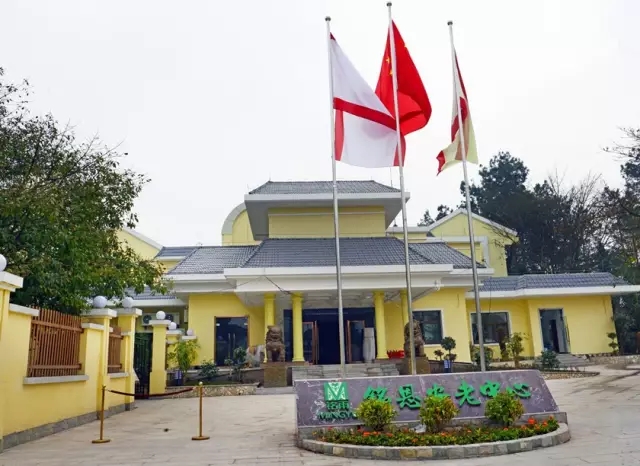 1583665425864081132.jpg 1583665425864081132.jpg