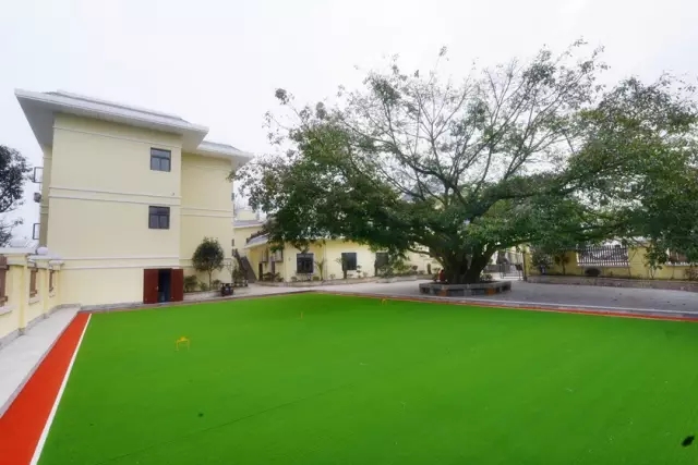 1583665463003021675.jpg 1583665463003021675.jpg