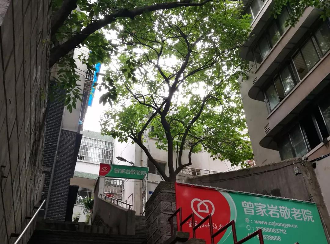 1584067889908072157.jpg 1584067889908072157.jpg