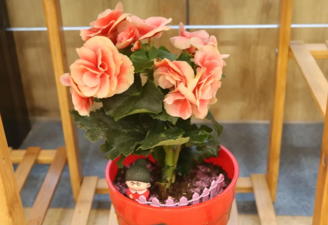 1584410405539015795.png QQ截圖20200317095541.png