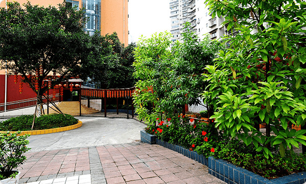 1584676705607081016.jpg 1584676705607081016.jpg