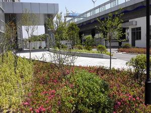 1584950520430070425.jpg 1584950520430070425.jpg