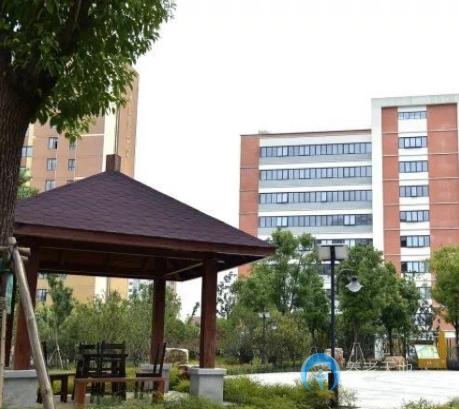 1584950606909046145.png 1584950606909046145.png