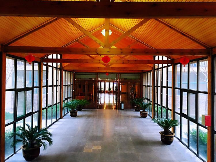 1585042786529078026.jpg 1585042786529078026.jpg