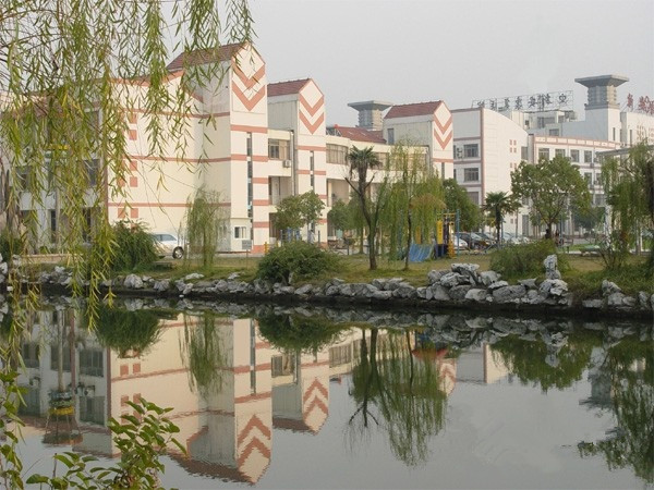 1585117144277040683.jpg 1585117144277040683.jpg