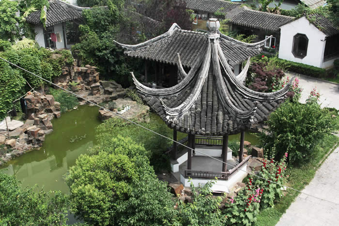 1585125756160009480.jpg 1585125756160009480.jpg