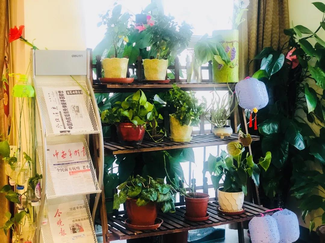 1585185291496036598.jpg 1585185291496036598.jpg