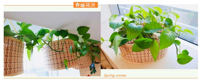 1585185344447003611.jpg 1585185344447003611.jpg