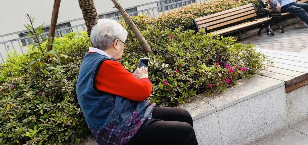 1585185523950070639.jpg 1585185523950070639.jpg