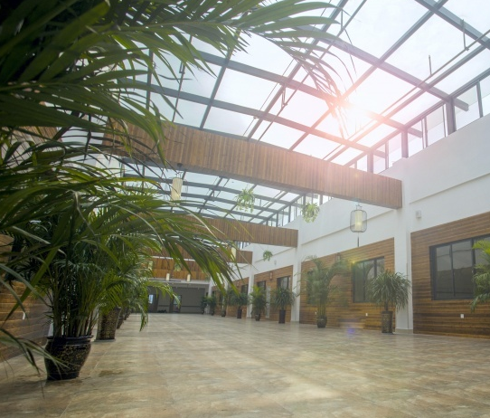 1585358160485057169.png QQ截圖20200328090654.png