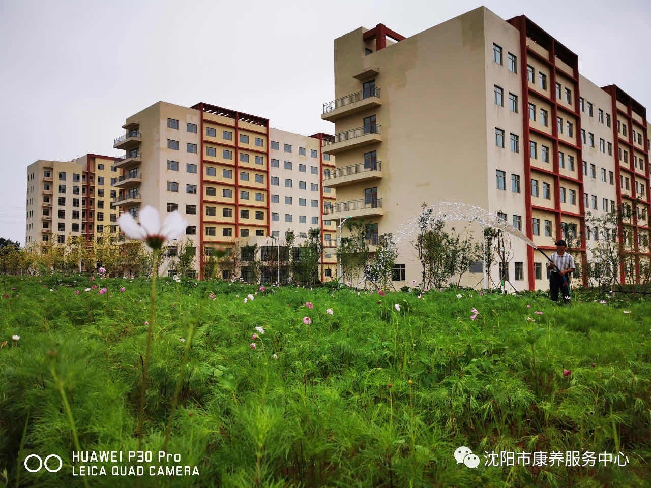 1585535277693073005.jpg 1585535277693073005.jpg