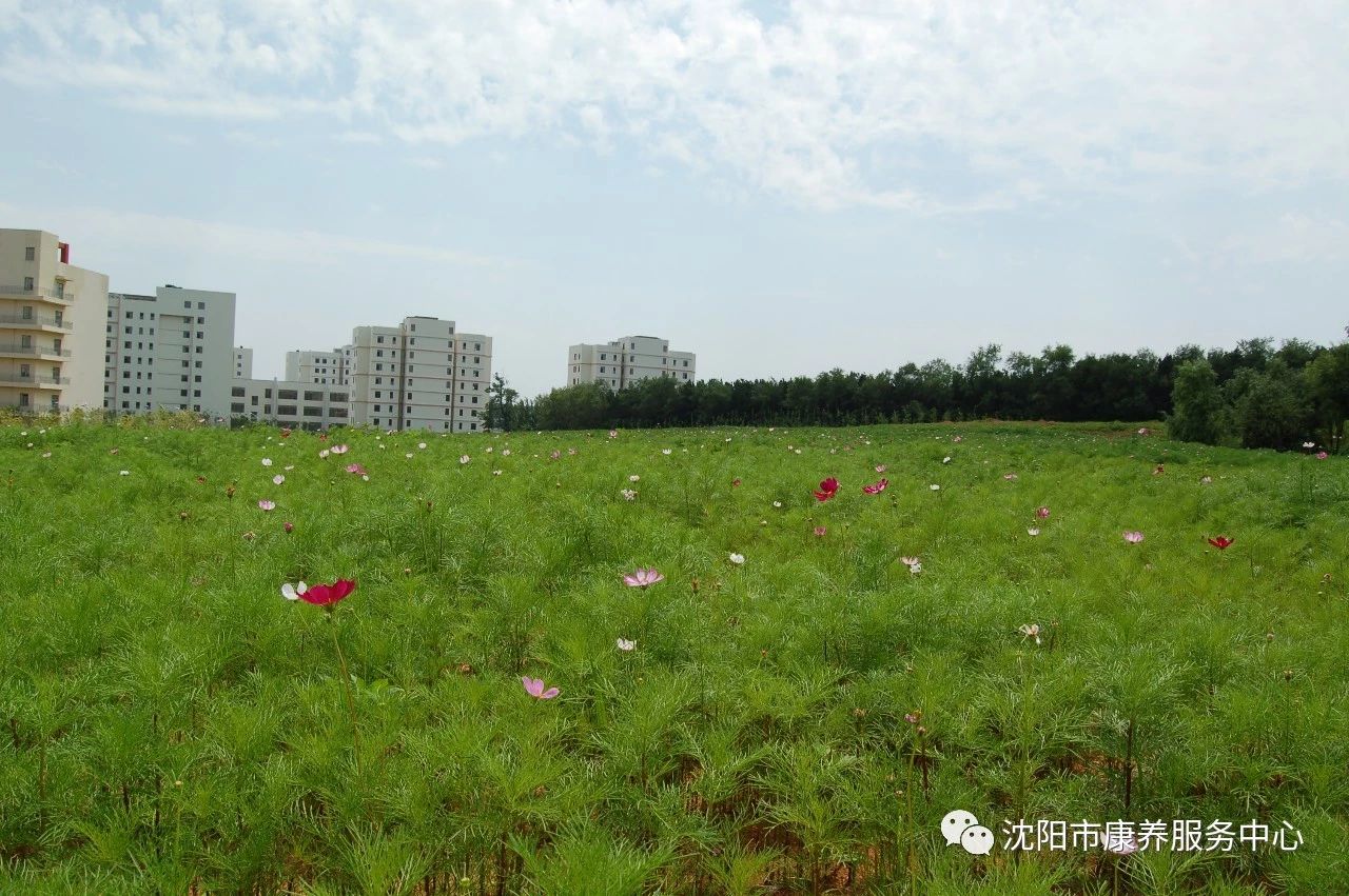 1585535293757056195.jpg 1585535293757056195.jpg