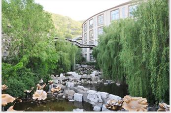 1586763566564085558.jpg 1586763566564085558.jpg