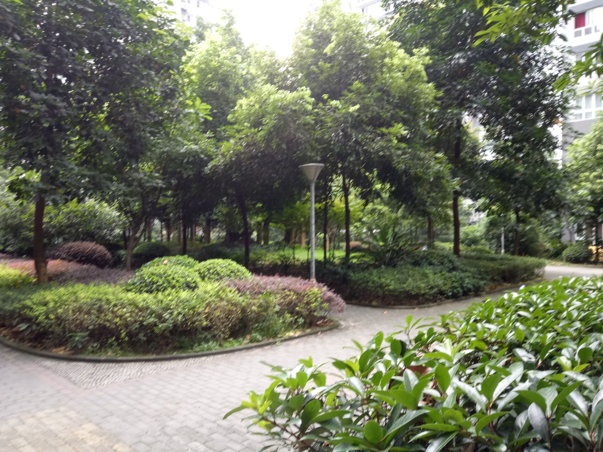 1586836242865077306.jpg 1586836242865077306.jpg