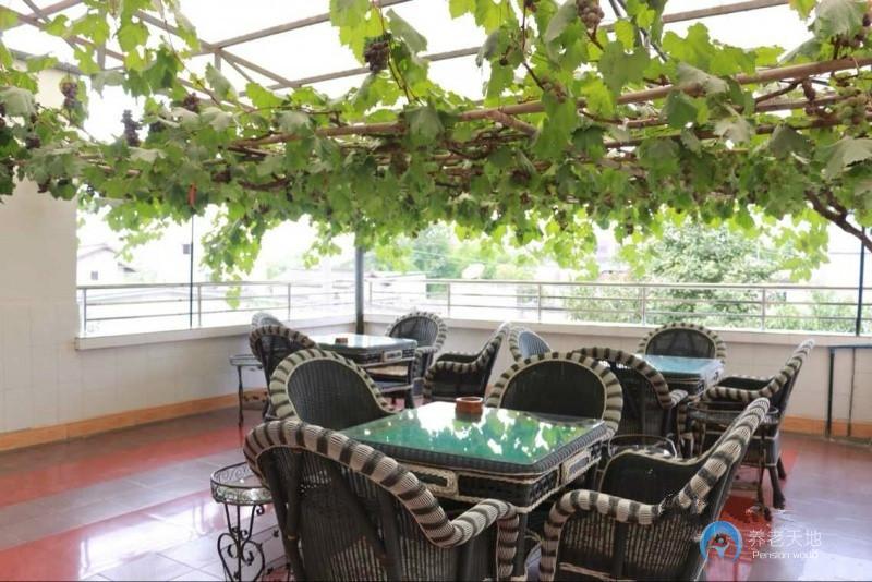 1586929643331086922.jpg 1586929643331086922.jpg