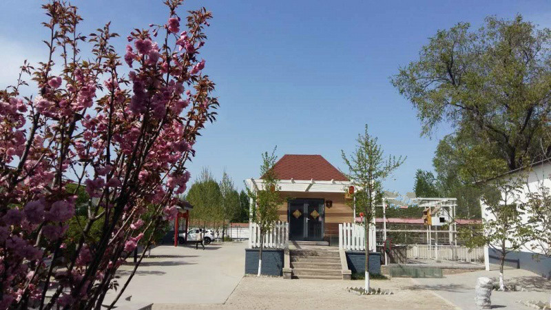 1587003123456060576.jpg 1587003123456060576.jpg