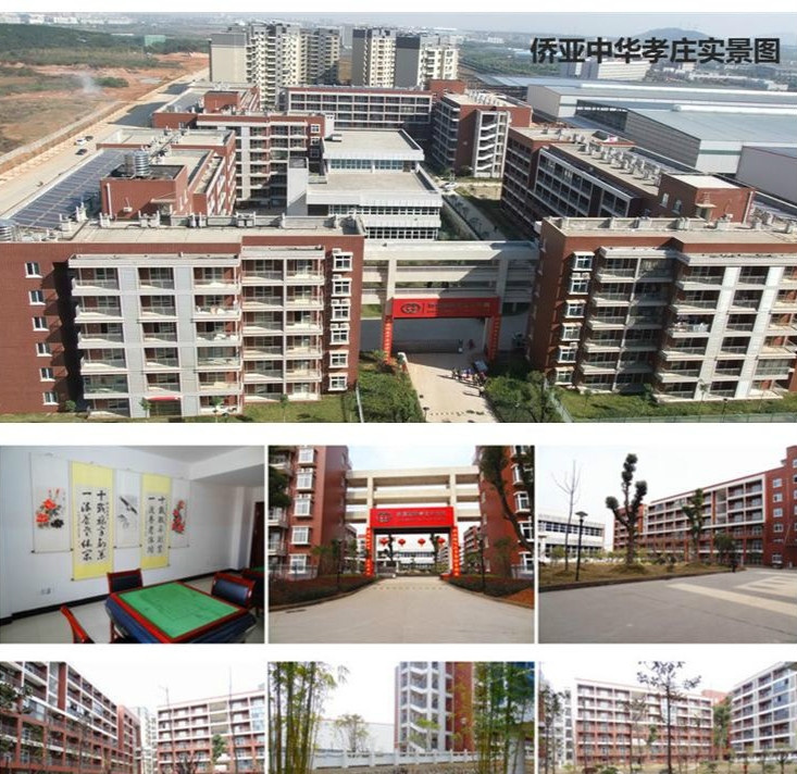 1587020816723093800.jpg 1587020816723093800.jpg