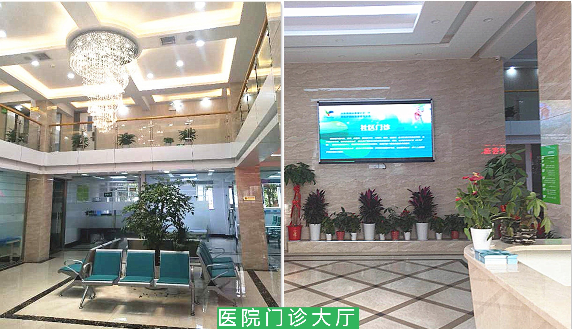 1587093013991007878.jpg 1587093013991007878.jpg