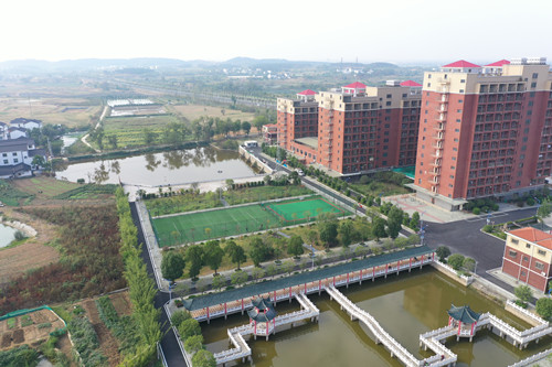 1587095732543096371.jpg 2.jpg