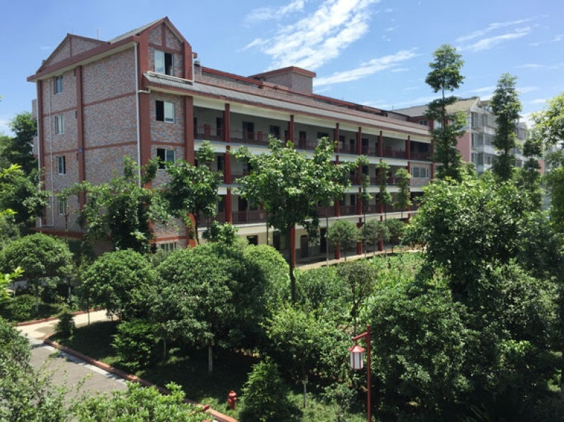 1587526077444032585.jpg 1587526077444032585.jpg