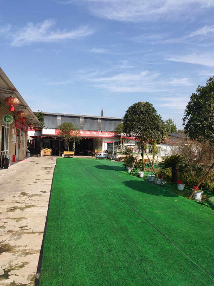 1587527541221059225.jpg 1587527541221059225.jpg