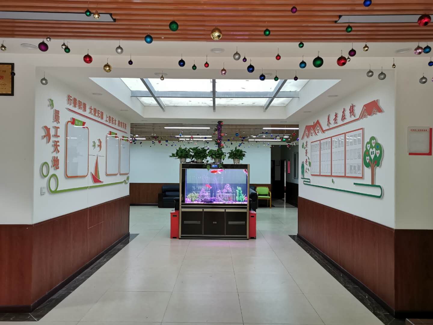 1587537495929074191.jpg 1587537495929074191.jpg