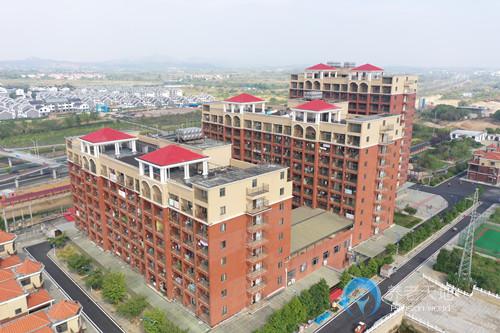 1587972202550072092.jpg 1587972202550072092.jpg