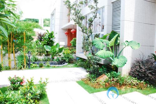 1588063708179029723.jpg 1588063708179029723.jpg