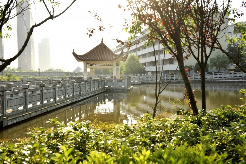 1588411531474080664.jpg 1588411531474080664.jpg