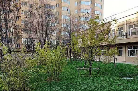 1588473487336073824.jpg 1588473487336073824.jpg