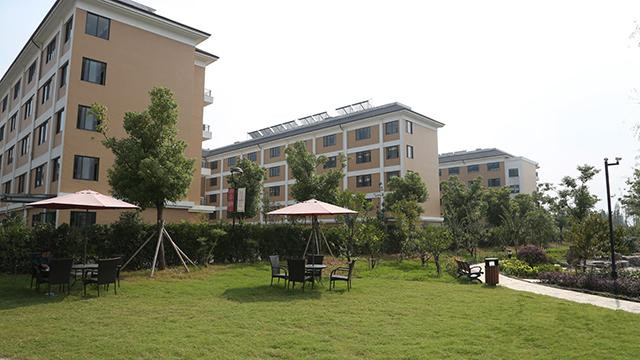 1589075009910072387.jpg 1589075009910072387.jpg