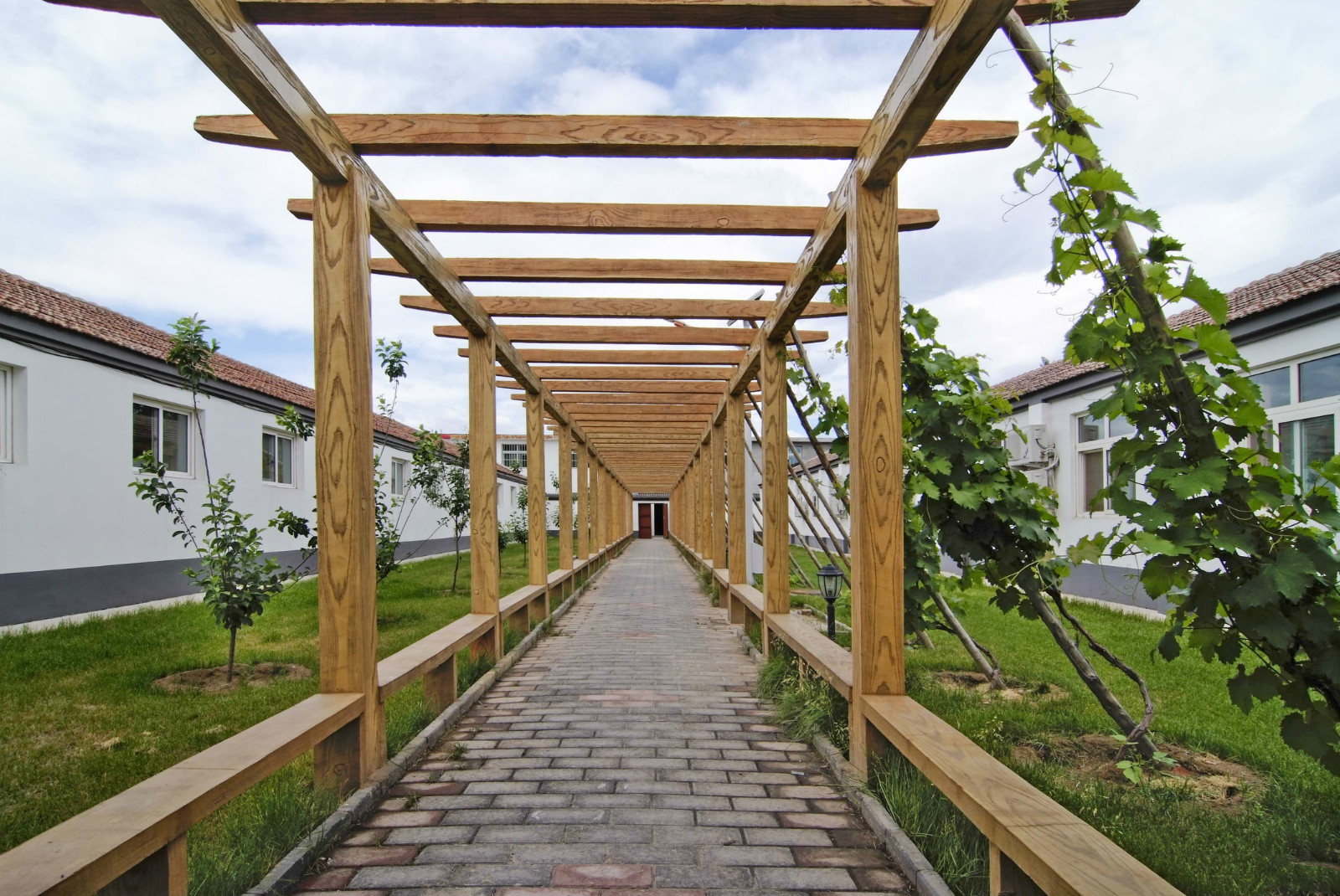 1589268871838052946.jpg 1589268871838052946.jpg