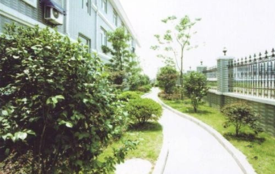 1590456794670043775.png 2.png