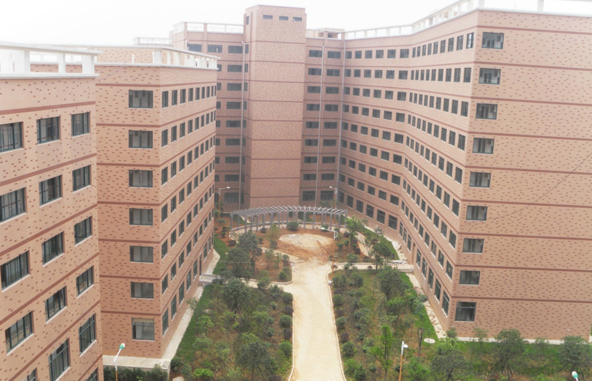 1590570352523075467.jpg 1590570352523075467.jpg