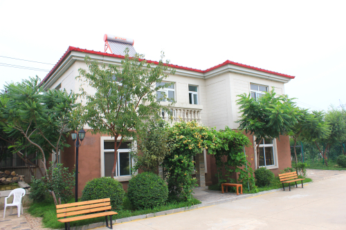 1592361727444077094.jpg 6.jpg