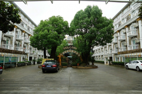 1594352178833010620.png 2.png