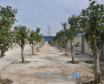 1595235012858014890.png 2.png