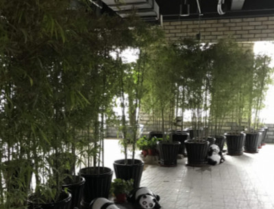 1596166580550010282.jpg 1596166580550010282.jpg