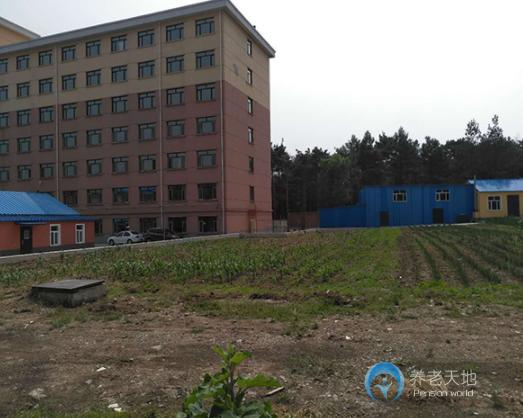 1596178454371087795.jpg 1596178454371087795.jpg