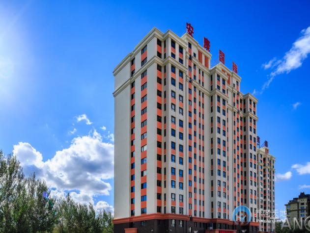 1596179221164017783.jpg 1596179221164017783.jpg