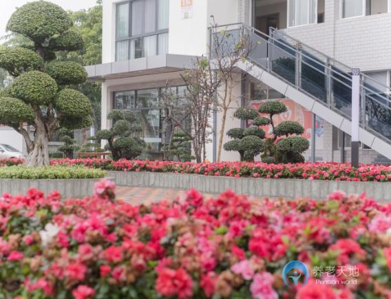 1596182147280052779.jpg 1596182147280052779.jpg