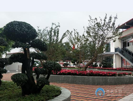 1597115146597004208.jpg 1597115146597004208.jpg