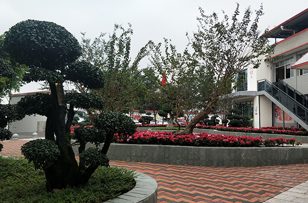 1597127522915073101.jpg 1597127522915073101.jpg