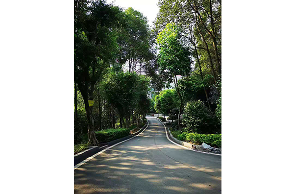 1597127572446003249.jpg 1597127572446003249.jpg