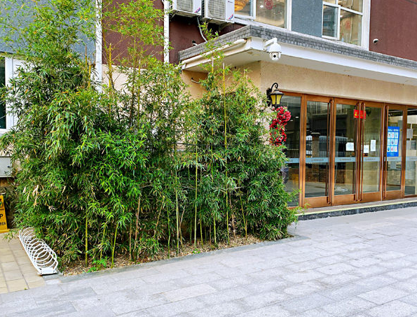 1597624629873079120.png QQ截圖20200817082722.png