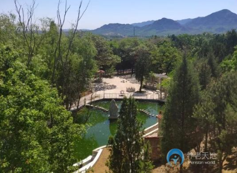 1602819292913043236.png 1.png