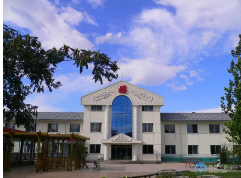 1604368665442086232.jpg 1.jpg