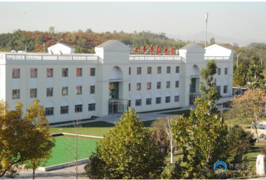 1604368676256031808.jpg 1604368676256031808.jpg