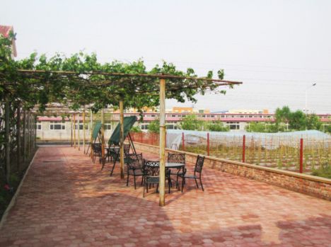 1604382294357099570.png 揚(yáng)蘭.png