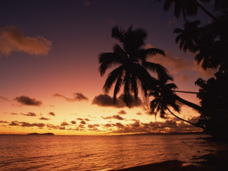 1604475077027035778.png 愛老之家老年公寓1.png